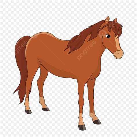 kabayo clipart